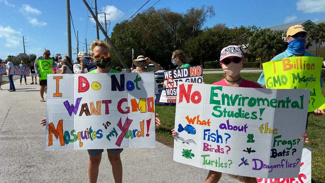 Lance and Isabelle Wogsland hold signs during a protest outside the Murray Nelson Government and Cultural Arts Center in Key Largo Sunday, Feb. 22, 2021. The protest was over a plan by a British biotech company to release millions of genetically modified mosquitoes within the Florida Keys in an effort to combat the invasive Aedes aegypti species.