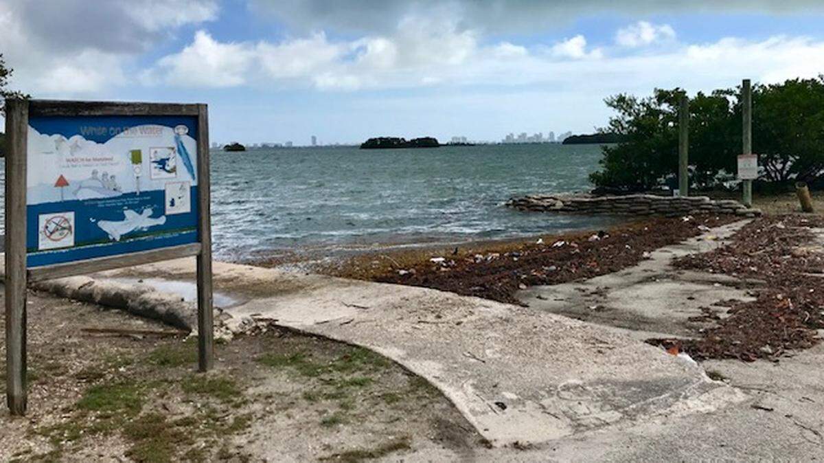 The unmaintained Legion Park boat ramp in the MiMo district is blighted with seaweed and trash and has been closed to the public since 2009. Repairs have finally begun.
