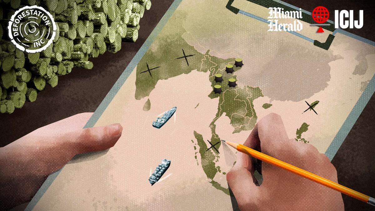 Deforestation, Inc.