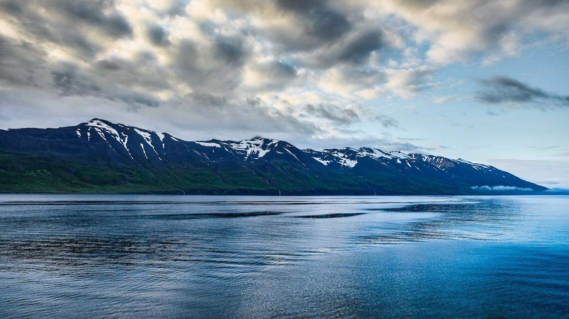 The unusually large pod of pilot whales was spotted in Akureryi harbor in Iceland, experts said.