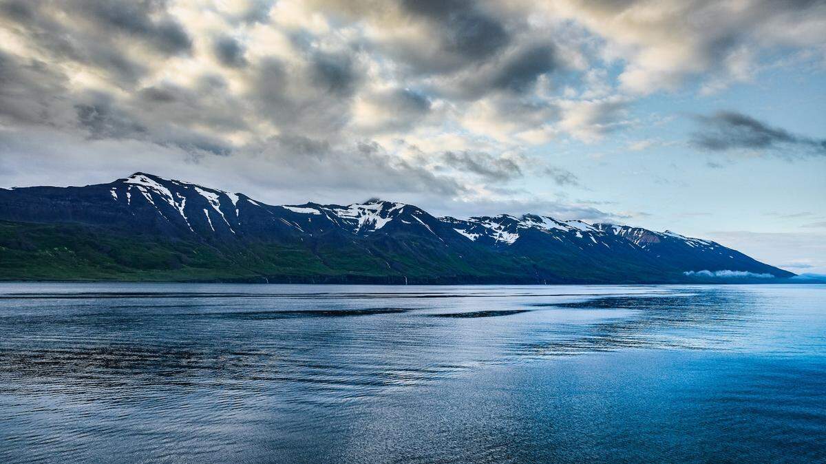 The unusually large pod of pilot whales was spotted in Akureryi harbor in Iceland, experts said.