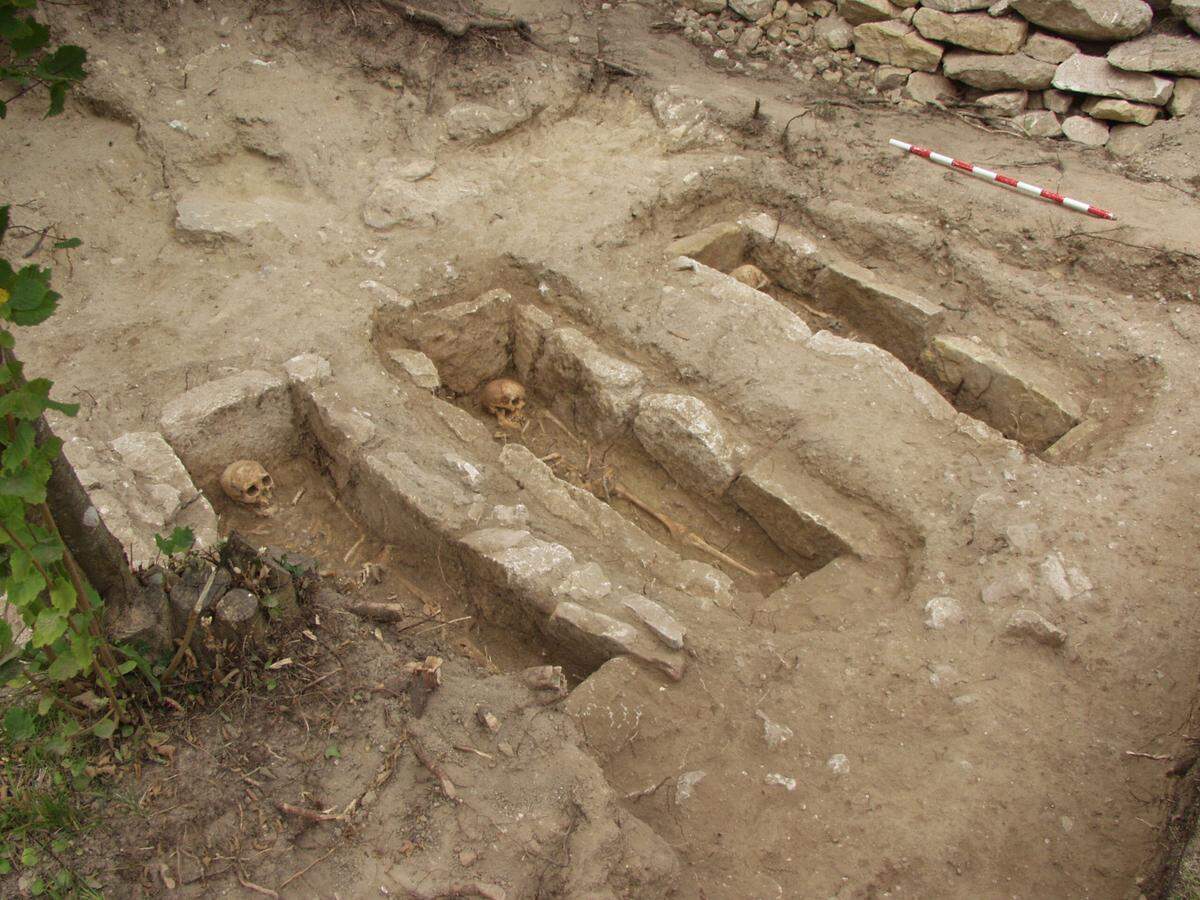 More than 20 graves were excavated and the bones analyzed to see how the individuals were related.