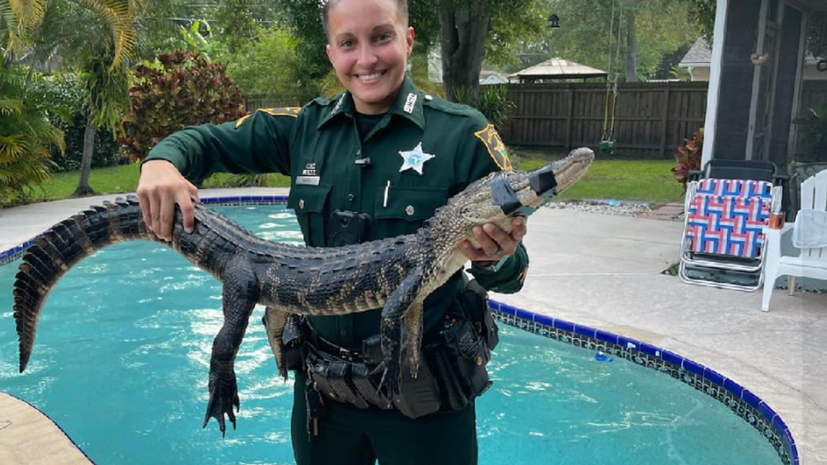 Deputy Harris on the job.