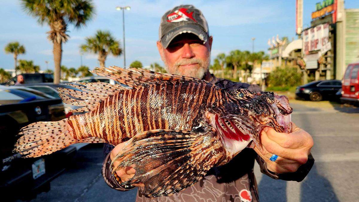 The 24,699 fish were caught by 144 divers from around the country, who descended on the Florida Panhandle in hopes of sharing $100,000 in prize money, officials said.