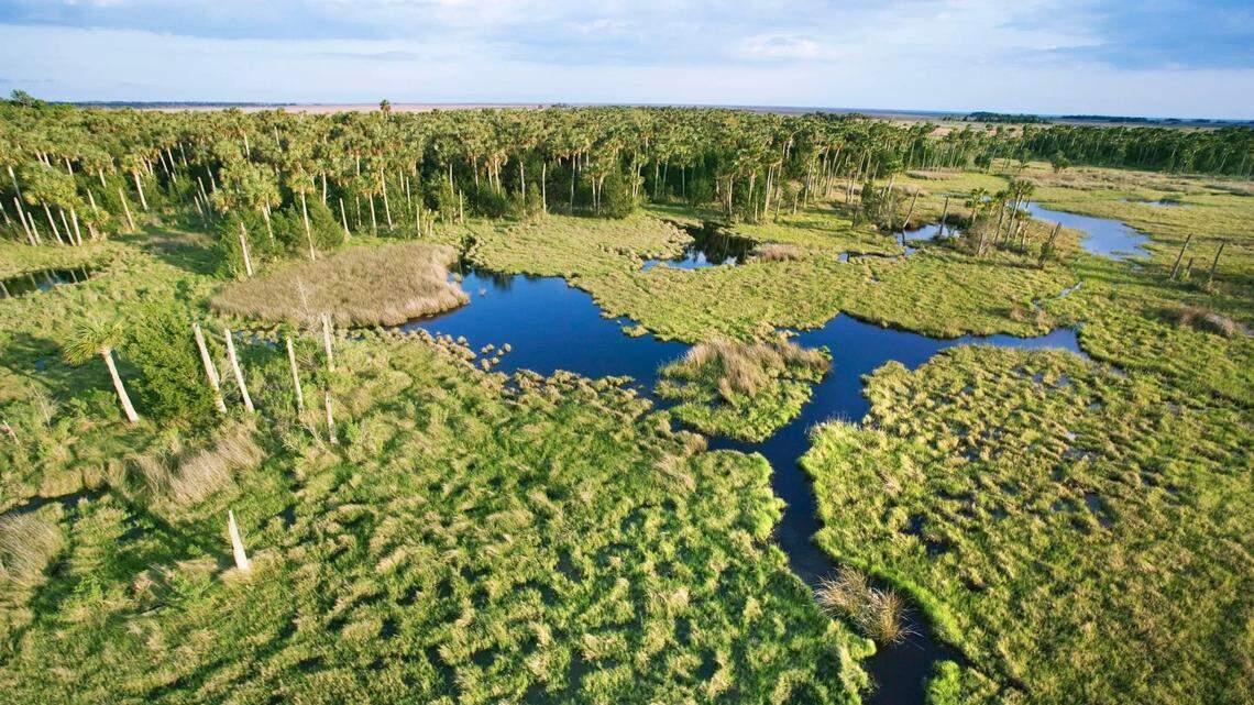 How much do wetlands like the Everglades protect private properties?