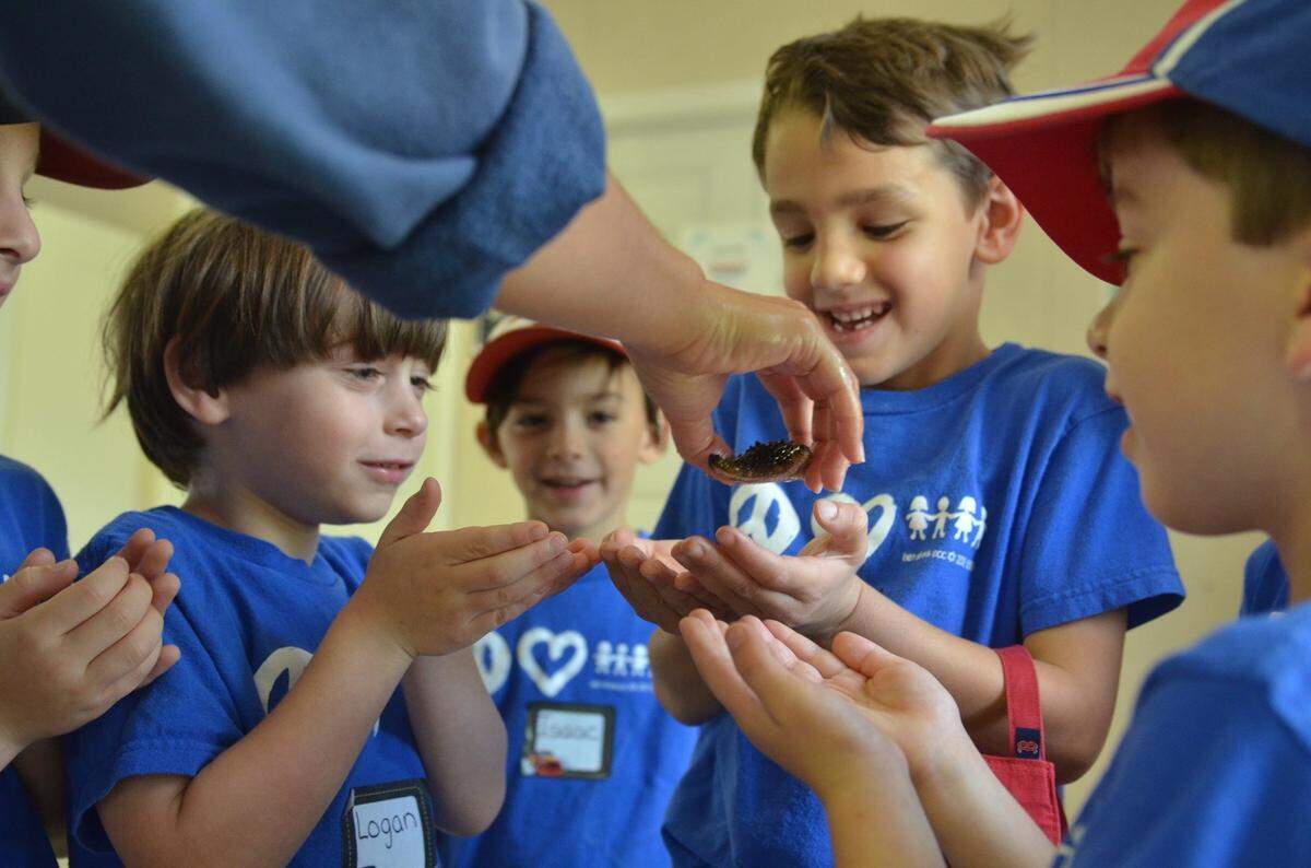 Summer Camp at Miami Seaquarium offers students from kindergarten to high school the opportunity to learn about animal senses and behavior, environmental issues, and the relationship between humans and marine animals.