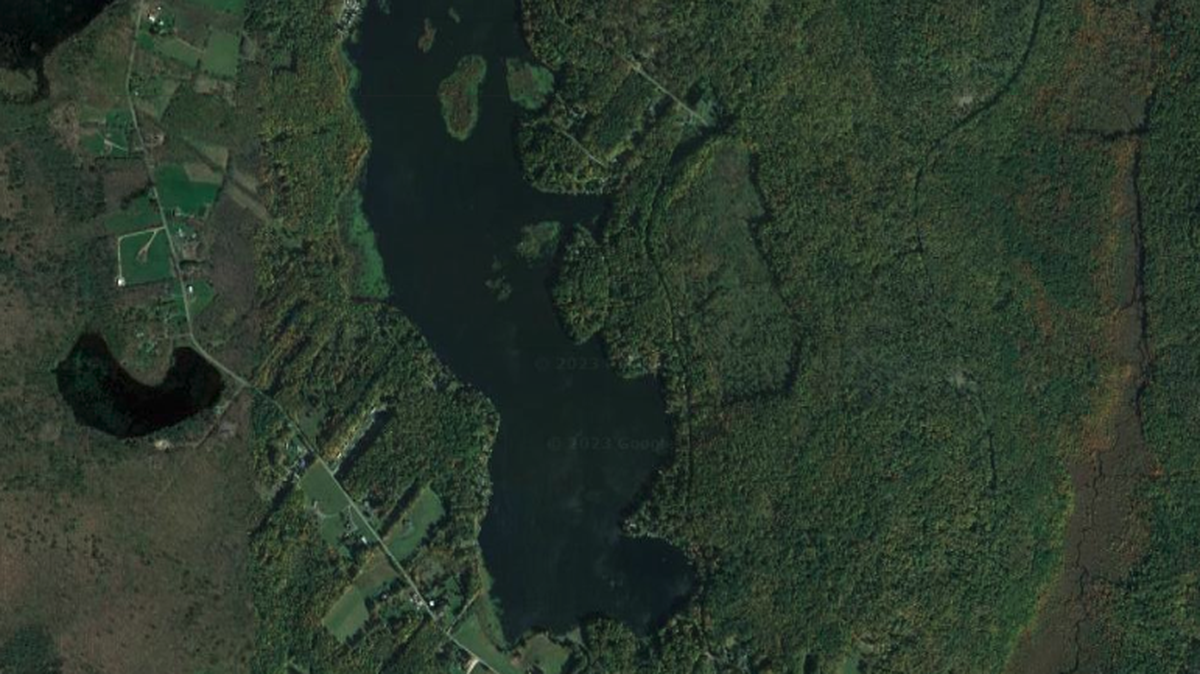 The body of Dominic Testani was pulled out of Lake Henry in Pennsylvania on Saturday, March 18, cops say.