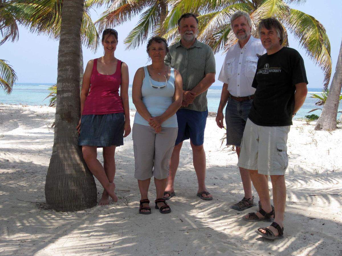 Field Museum of Chicago scientists Rosemary Golding, Petra Sierwald, Timothy Collins, Rüdiger Bieler and Timothy Rawlings gather for a photograph.