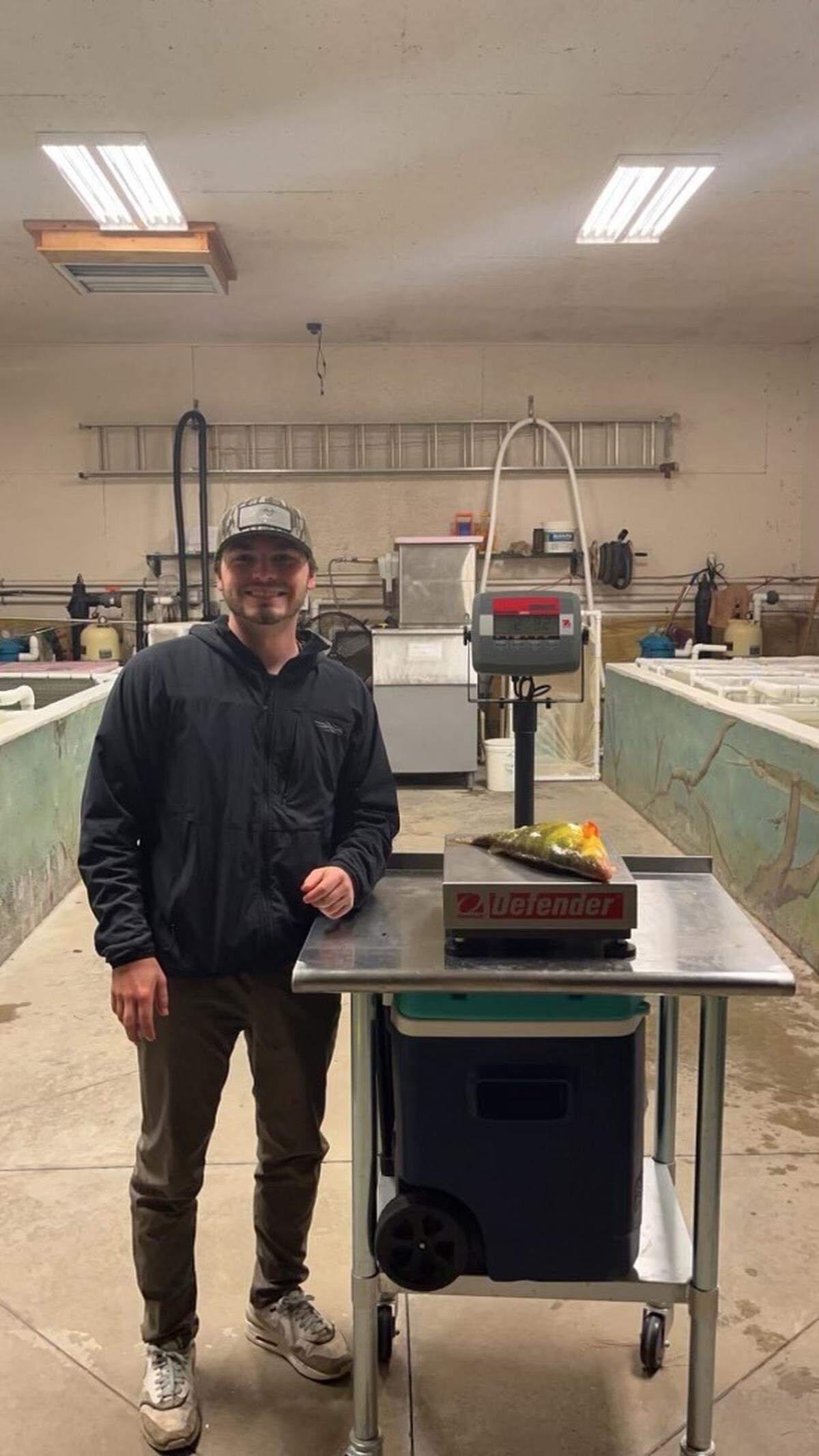 Yellow perch can be found in cold lakes in Georgia, wildlife officials said.