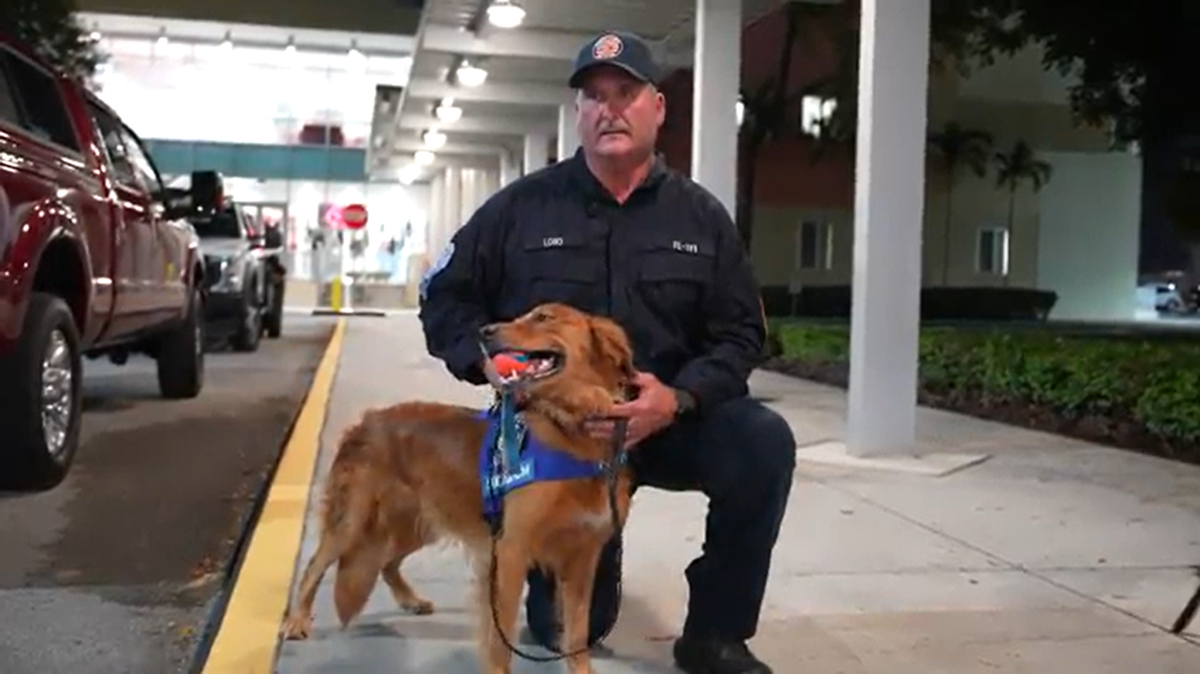 El especialista en búsqueda canina del Departamento de Bomberos de Miami-Dade John Long y su perro Cable fueron enviados el miércoles 16 de agosto de 2023 a Maui, Hawai, tras los incendios forestales que acabaron con la vida de más de 100 personas.