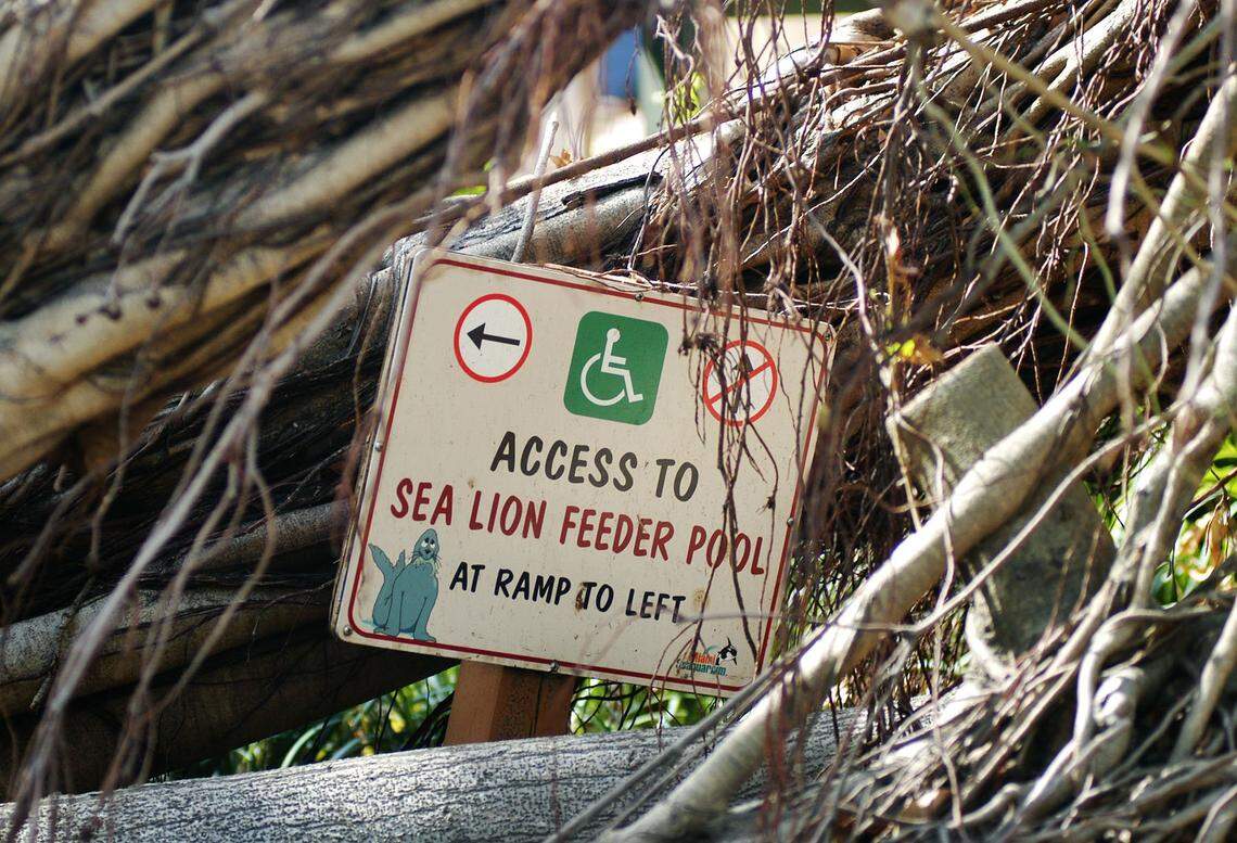 The Miami Seaquarium suffered damage from Hurricane Wilma, forcing it to close and make repairs.