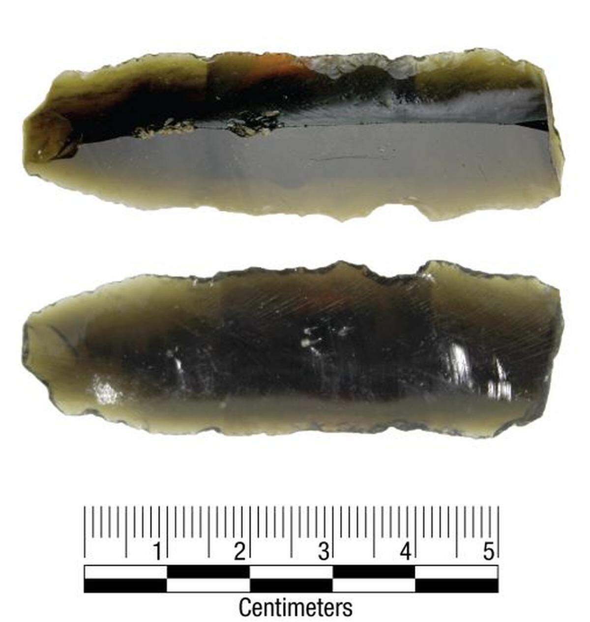 The shape and material of the blade is “exceedingly rare” for the area, experts said.