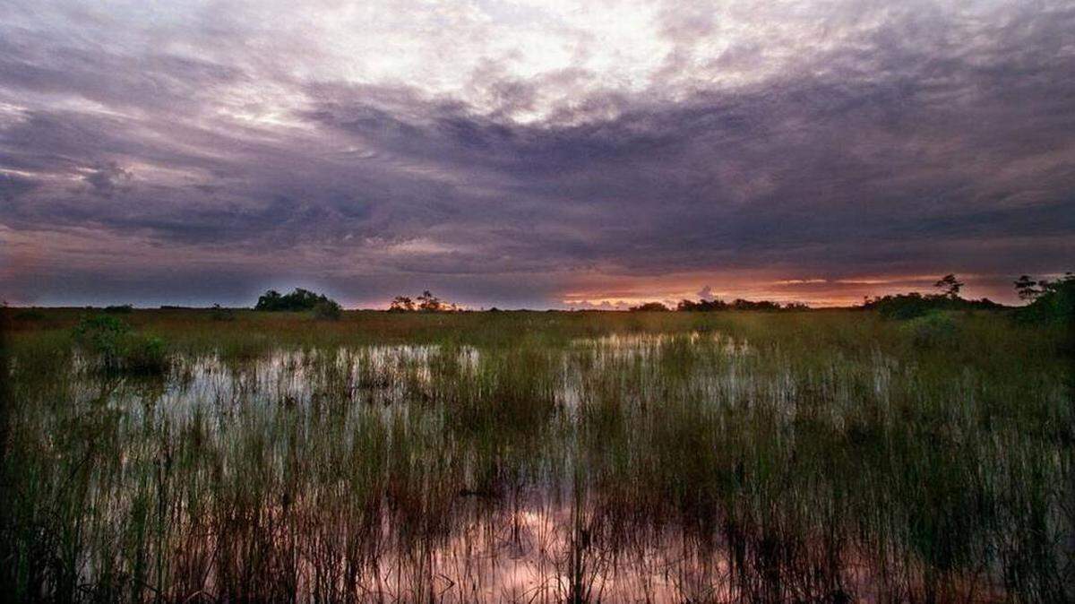 Everglades has been a place healing for writer, a Marine veteran.