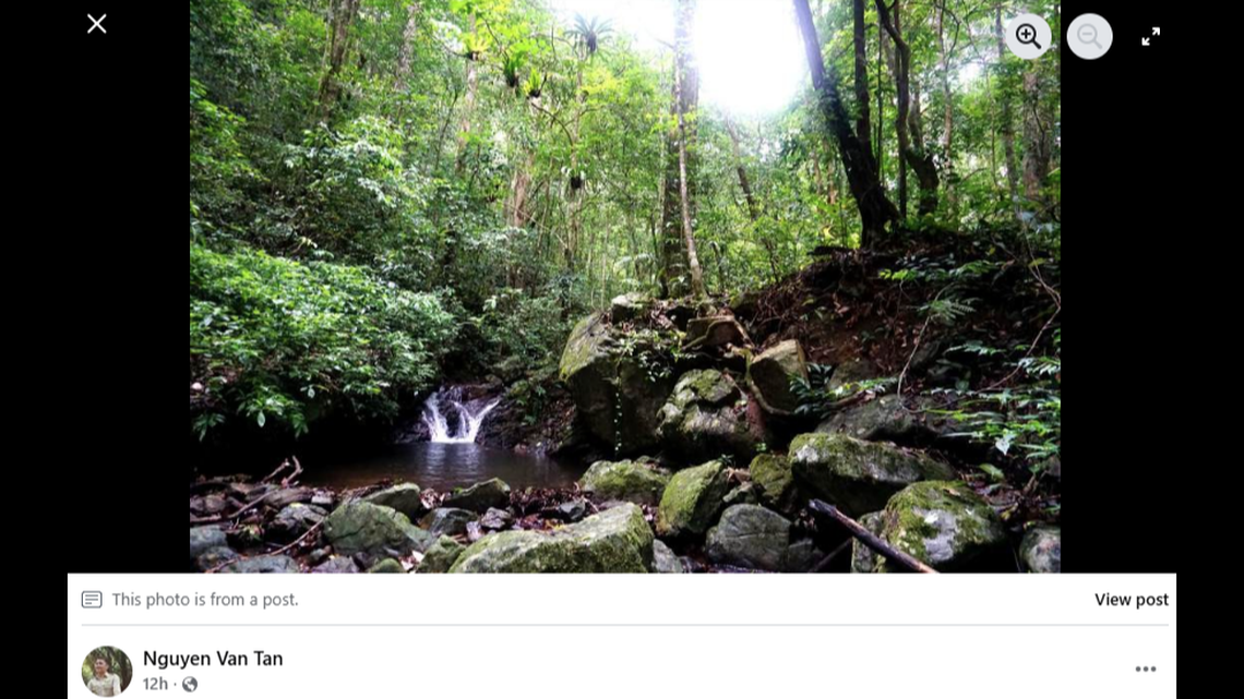 In the mountains of Vietnam, a new blind species was found buried under a rotten long.