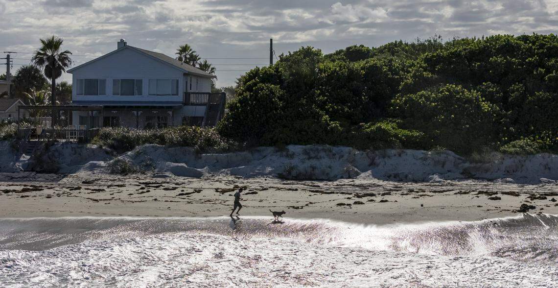 A man and his dog make their way down the shoreline on Wednesday, Oct. 15, 2025, in Melbourne Beach, Fla.