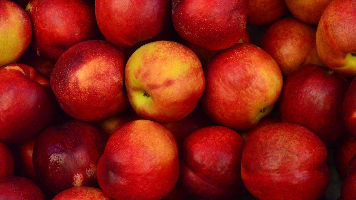 “One hundred or so years ago, one of the most common pesticides was lead arsenate, and for example, it was fairly commonly used in apple orchards, which is one of the reasons why apple juice becomes problematic,” said Jason White, Ph.D., director of the Connecticut Agricultural Experiment Station.