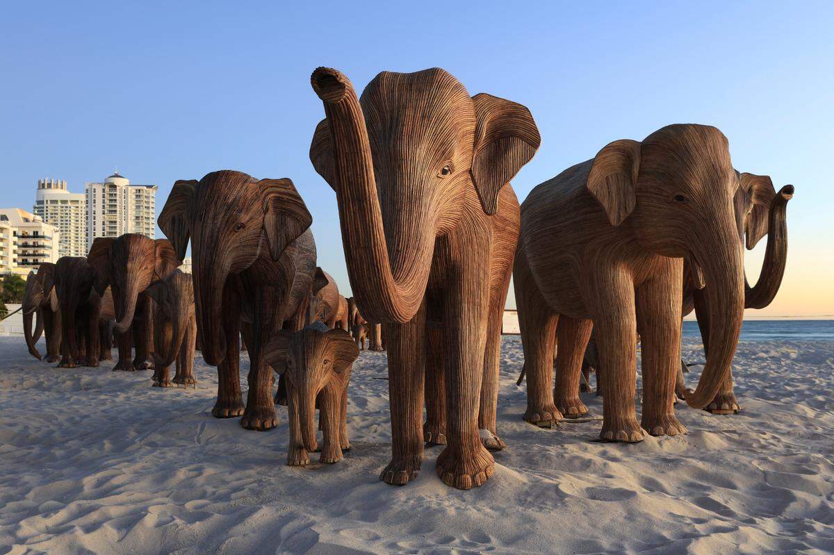 A herd of 100 life-sized artisan elephants can be viewed on the sands of Miami Beach at the 36th Street entrance.