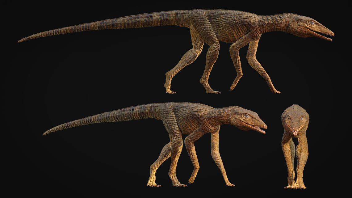 ancient crocodile galahadosuchus jonesi