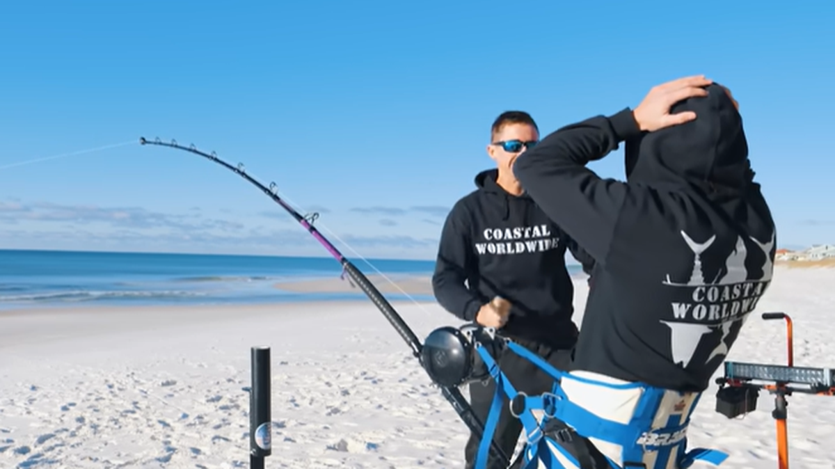 coastal worldwide great white shark catch