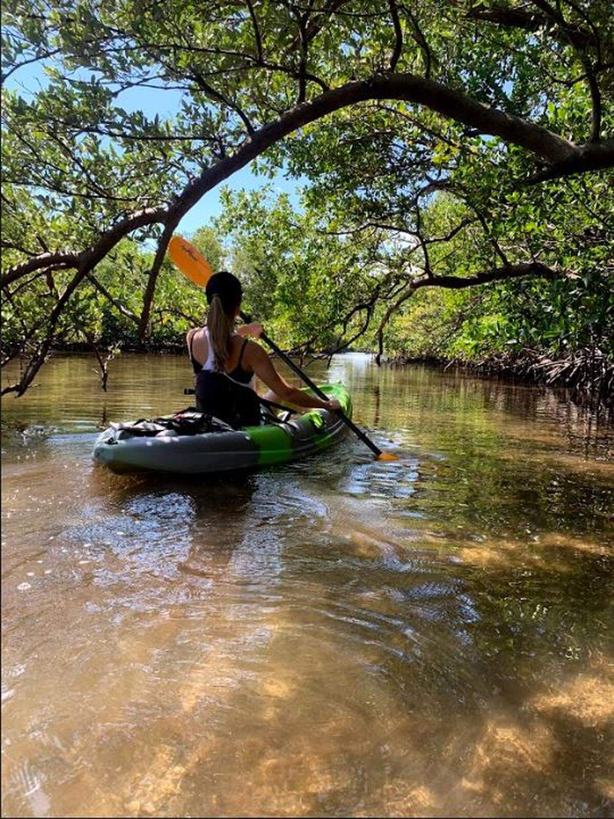 ROAM upgraded its fleet of kayaks to Ocean Kayaks and bikes to Specialized bicycles for rent in Oleta River, Mizell-Johnson and Hugh Taylor Birch State Parks daily. Price depends on rental length.
