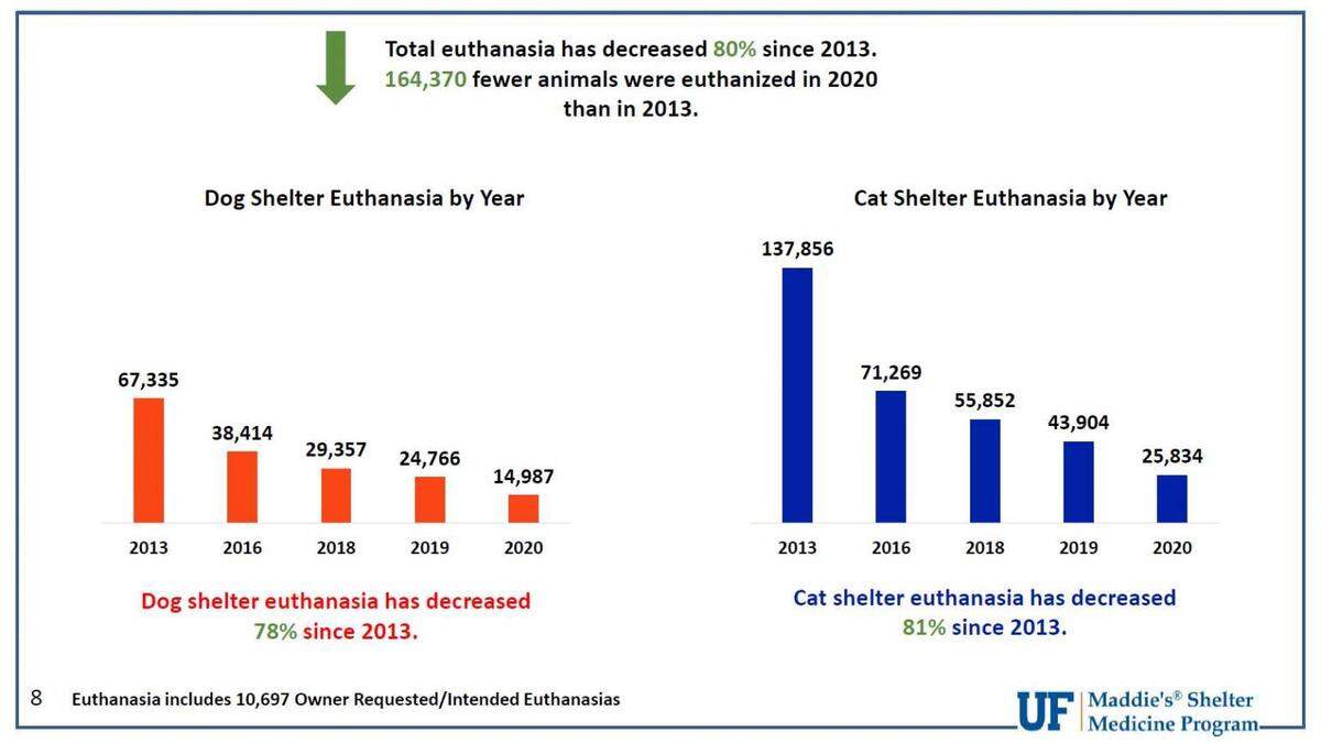 Total euthanasia in Florida shelters has decreased 80% since 2013.