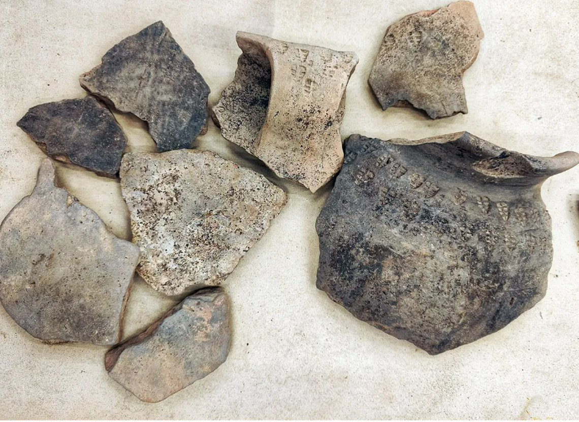 A “large cache of Ipswich Ware” was found within the wells and cess pits, according to experts.