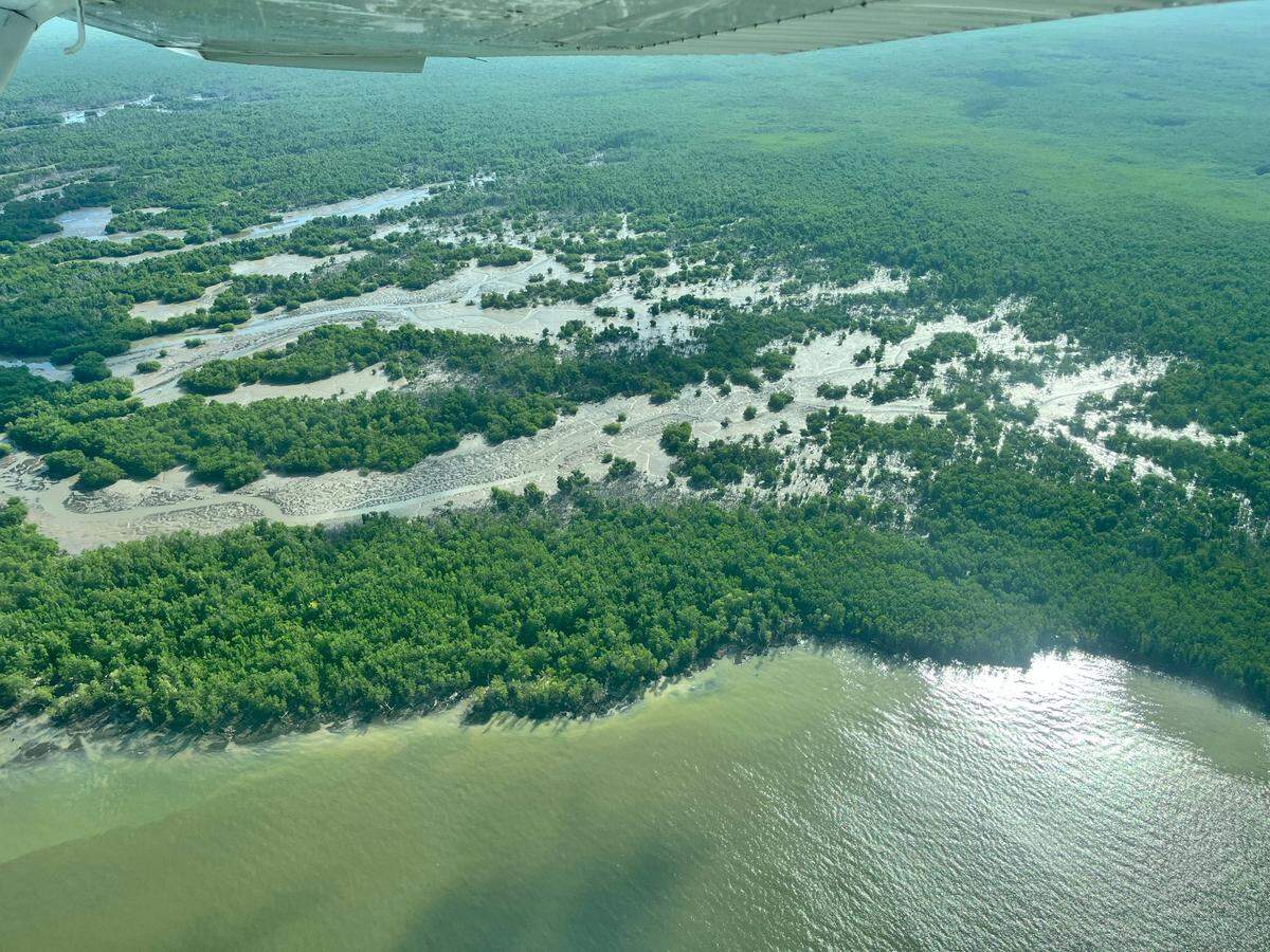 An aerial survey of the Everglades after Hurricane Ian showed the mangroves along the southernmost coast of the Everglades were practically unscathed, although the beach suffered some erosion.