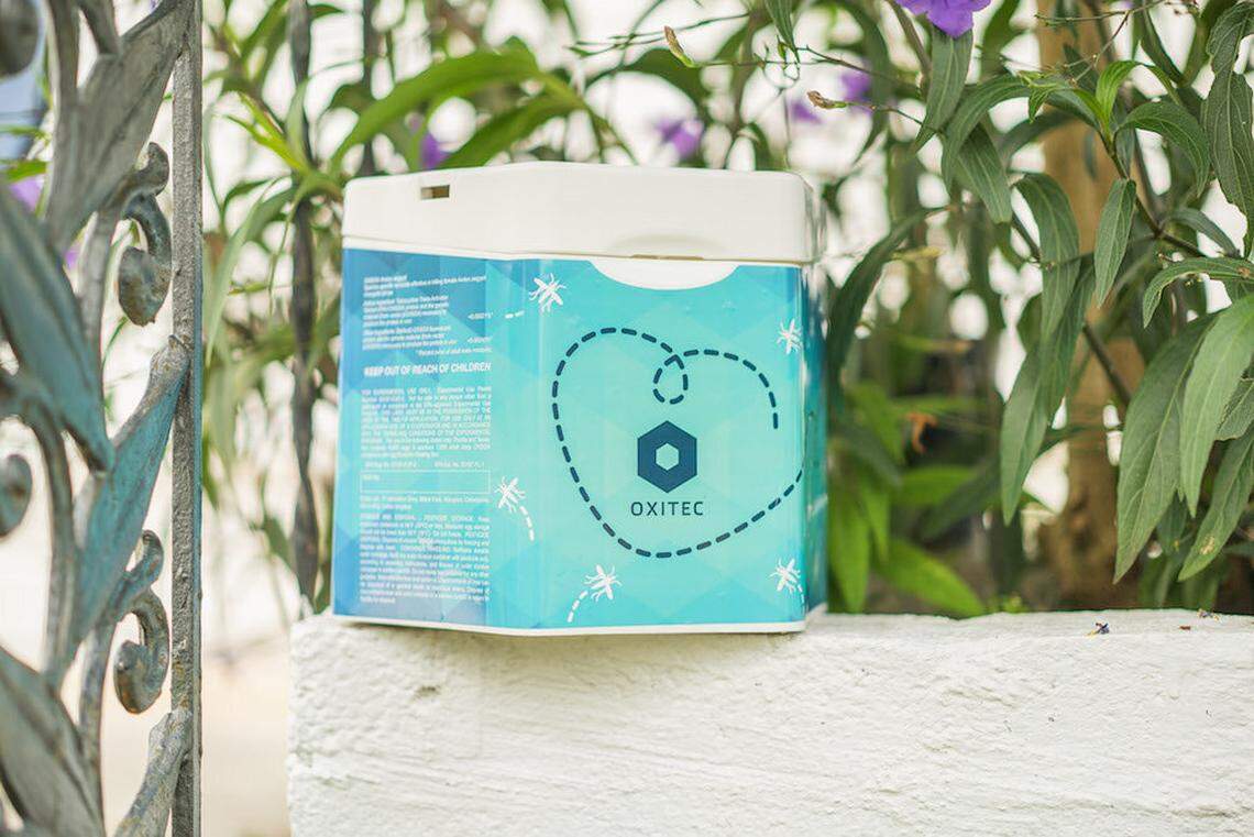 This week, boxes of mosquito eggs, food and water started being placed in the Lower Keys as part of a pilot project by Oxitec and the Florida Keys Mosquito Control District. Genetically modified male mosquitoes will emerge in an effort to reduce the population of the disease-carrying Aedes aegypti mosquito.