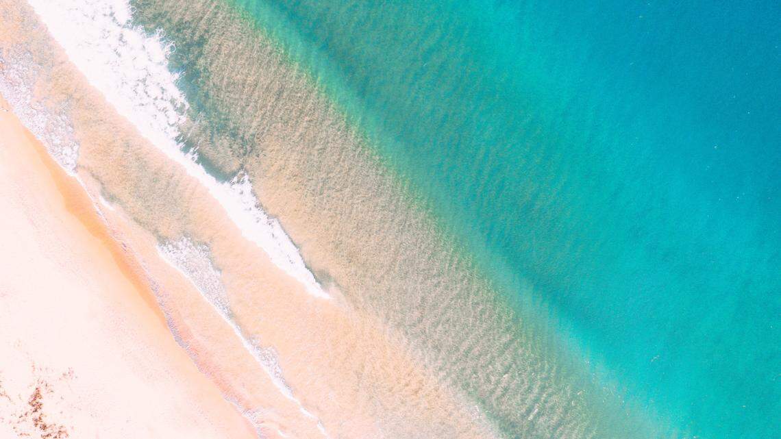 Drone footage shared on Instagram showed an enormous humpback whale trailing a kayaker near Bondi Beach in Australia.