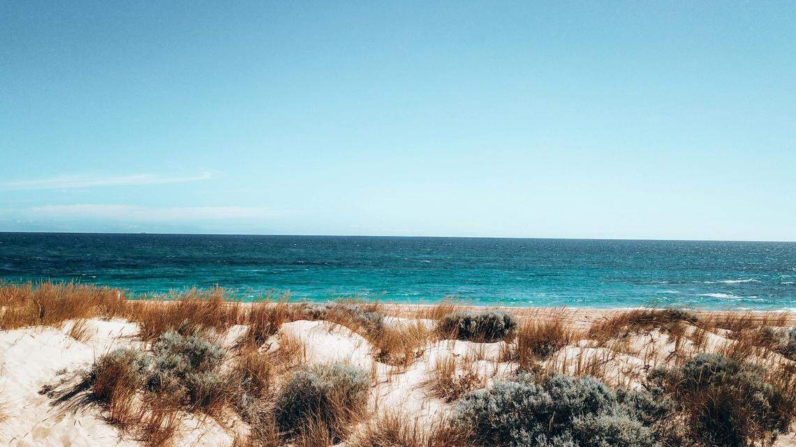 There’s a new fish in town off the western coast of Australia.