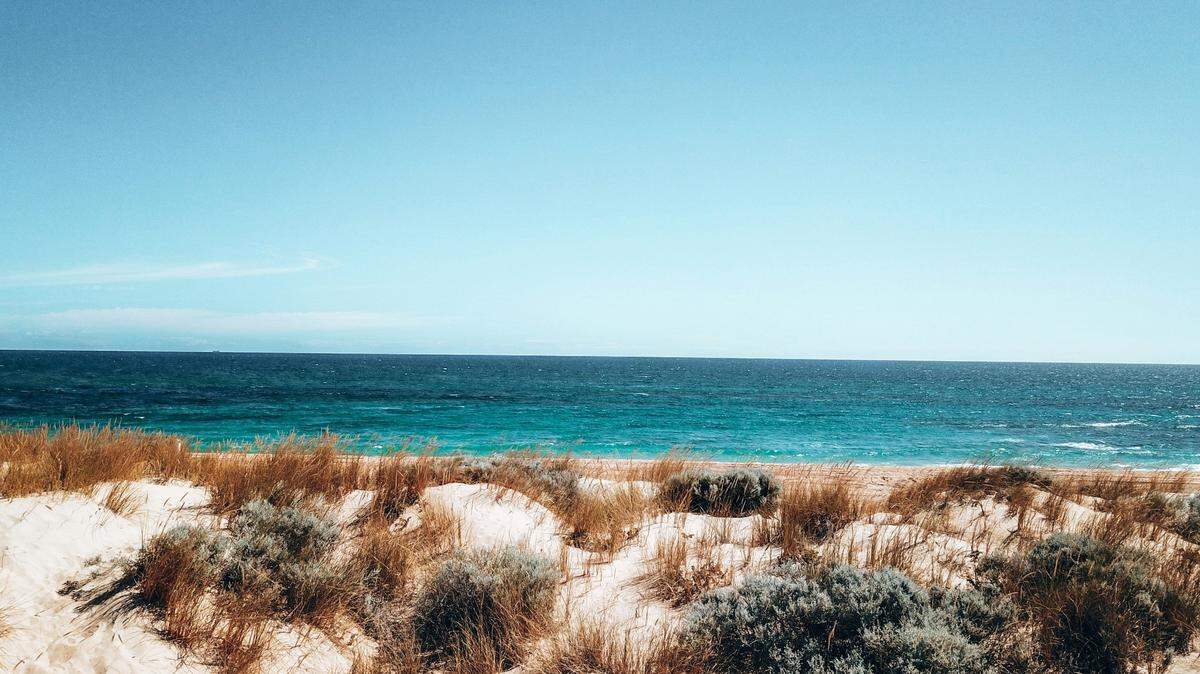 There’s a new fish in town off the western coast of Australia.