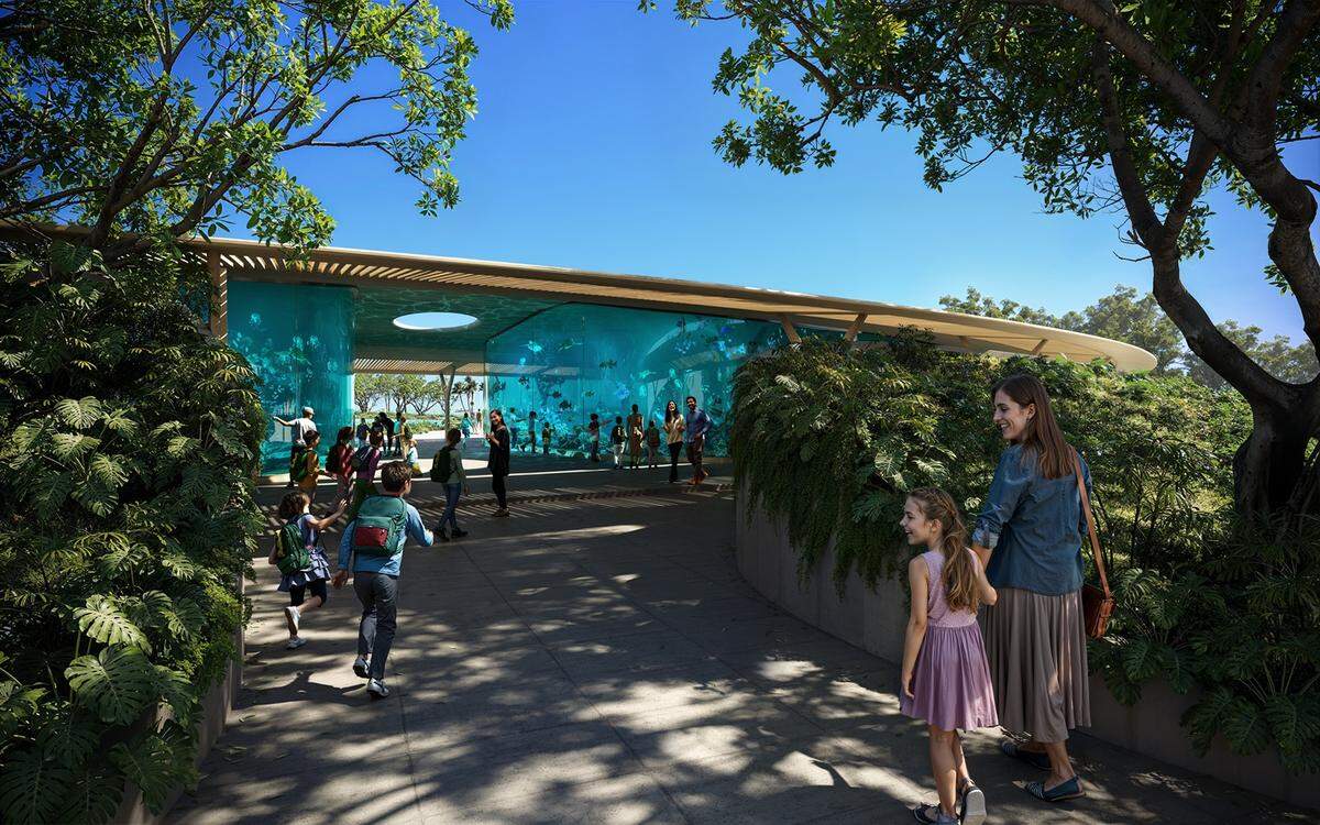 While marine mammals must be relocated before Coconut Grove developer David Martin takes over the county lease for the Miami Seaquarium, he’s planning to build an aquarium there with fish. This rendering shows visitors able to walk through it.