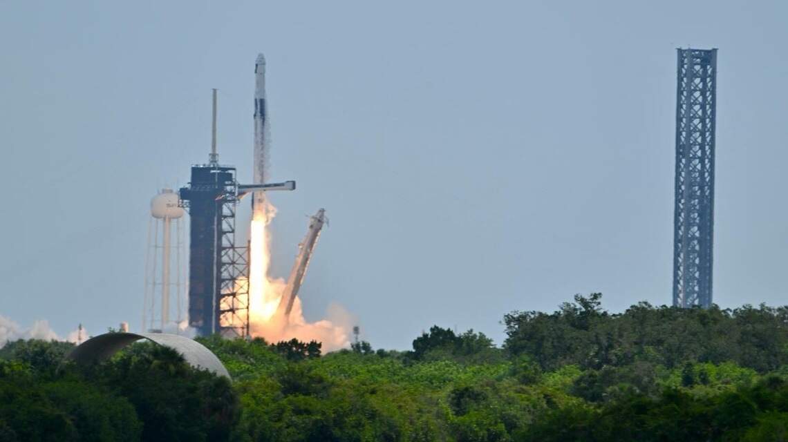 Could launching seeds into space breed hardier plants in Florida?