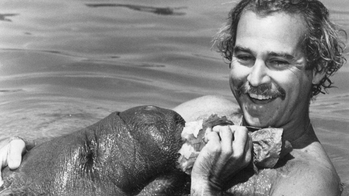 El fallecido cantante Jimmy Buffett fue copresidente original de Save the Manatee Committee, que acabó convirtiéndose en Save the Manatee Club.