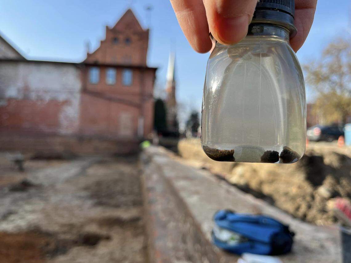 The amber ring was placed in water for preservation, experts said.