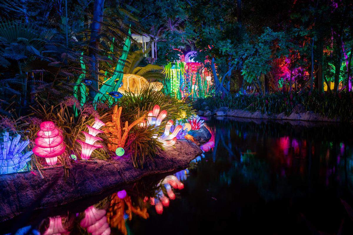 The Luminosa, Chinese Lantern Festival at Jungle Island, is filled with giant handcrafted lanterns lit by over 1&nbsp; million LED lights.
