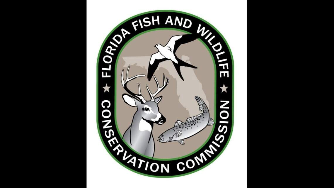 FWC stands by decision to probe activists’ personal information