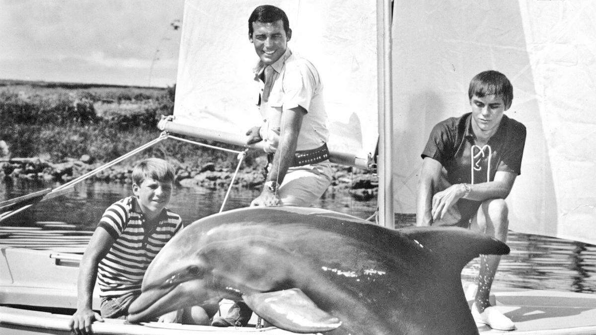 The “Flipper” series, which ran 1964-1967, employed seven dolphins to play the lead roll with Tommy Norden, left, Brian Kelly and Luke Halpin.