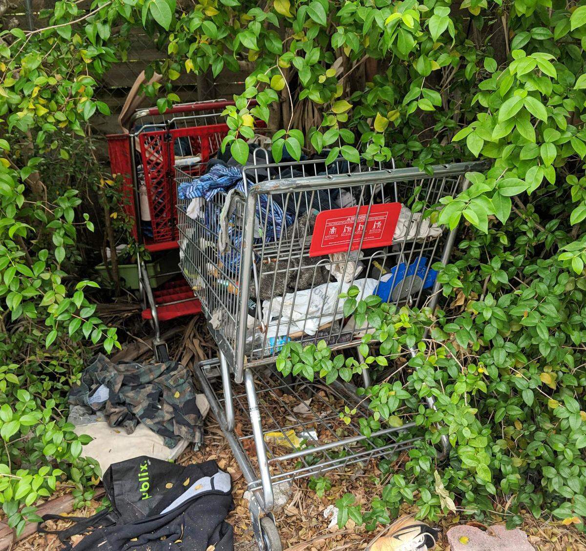 Abandoned shopping carts in an alley at Southwest 22nd Ave. and 17th Street.