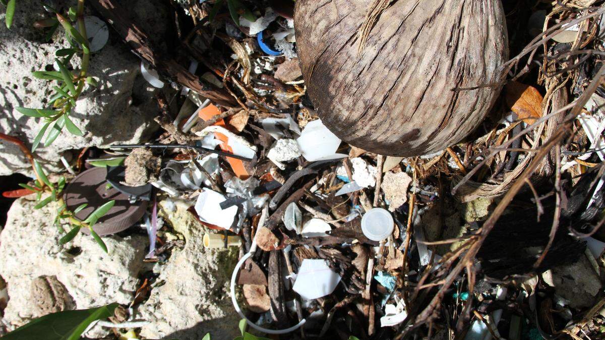 Small pieces of trash found washed ashore on FIU’s Biscayne Bay campus in North Miami.