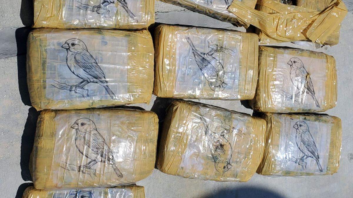 Wrapped packages of marijuana are displayed on a table. The contraband was found in the mangroves of a Key Largo channel Thursday, Aug. 21, 2025, according to the Monroe County Sheriff’s Office.