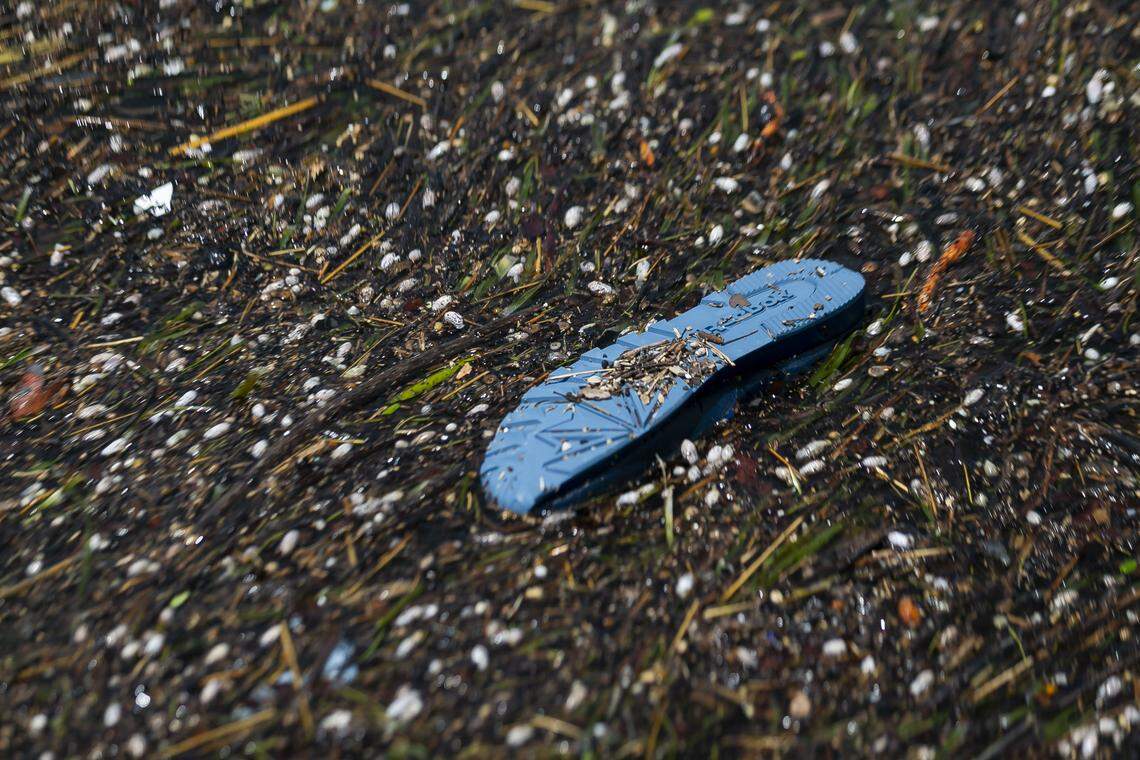 A shoe floats down a canal in Freeport, Bahamas, on Friday, Sept. 6, 2019. Thousands of Bahamians are heading to Freeport Harbor trying to escape Hurricane Dorian’s devastation.