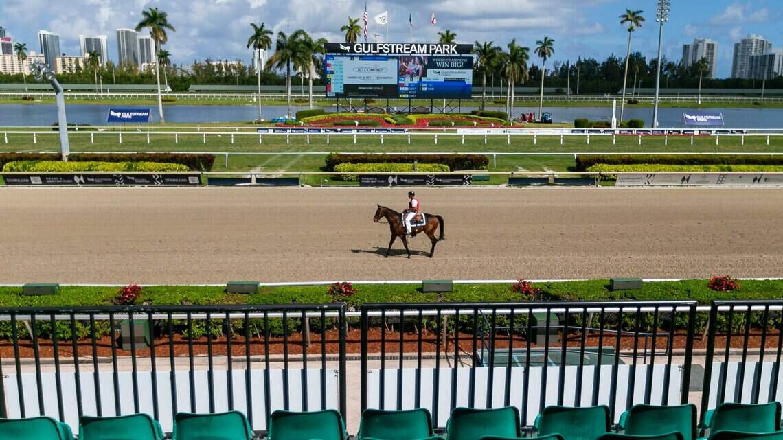 More than 100 horses have died in the past two years at Gulfstream Park