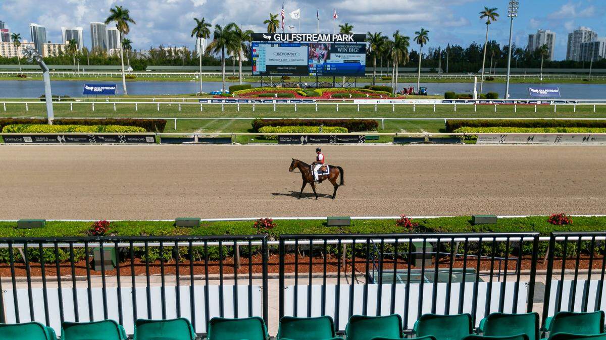 Gulfstream Park Racing and Casino in Hallandale Beach.