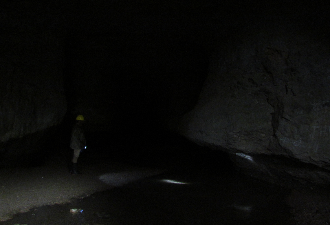 The twilight zone of the cave with its natural lighting.