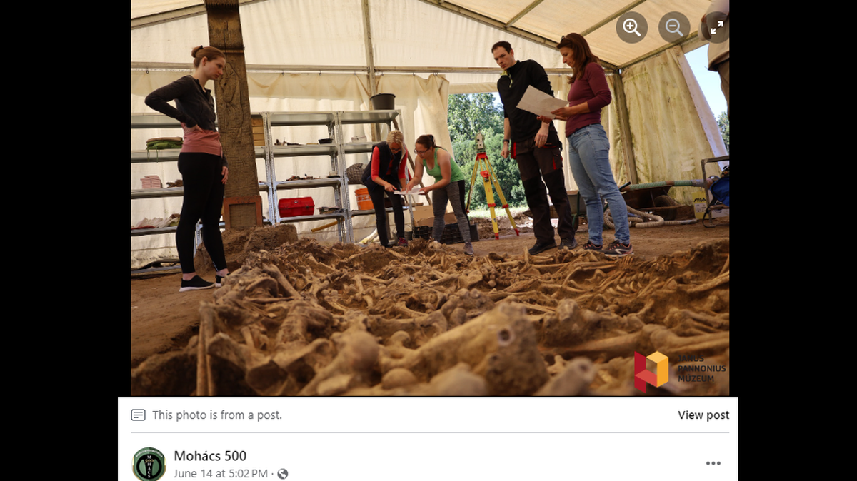 One of five mass graves from 1526 is being excavated in Hungary.