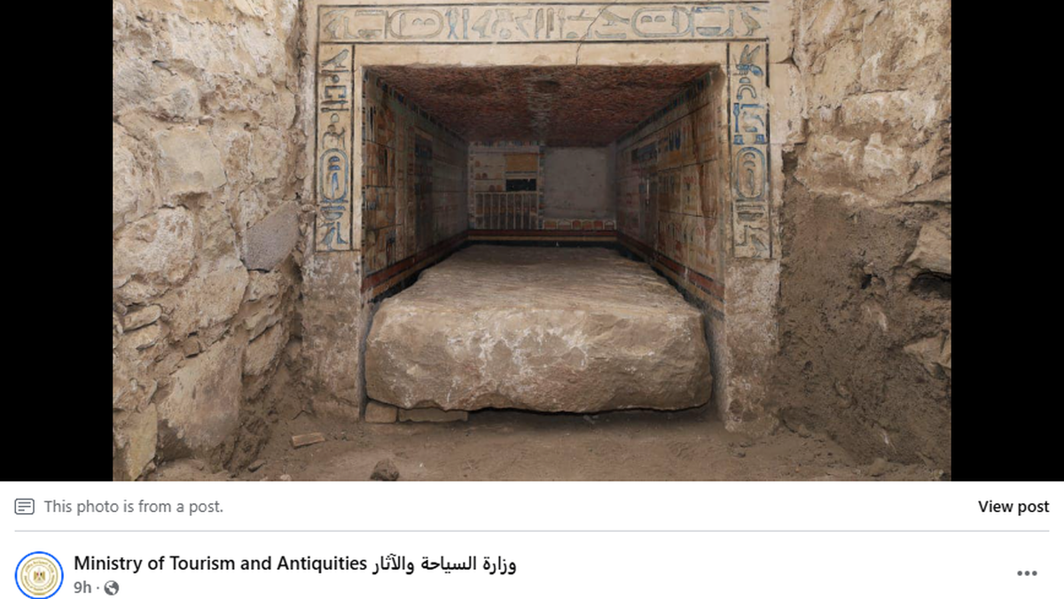 The tomb of a royal doctor was found at a necropolis full of the ancient elite in Egypt.