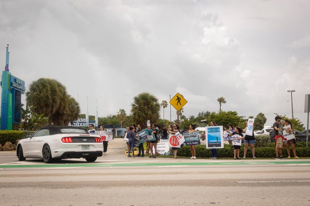 People gather two days after Lolita’s death outside the Miami Seaquarium to attempt to turn people away from visiting on Sunday, Aug. 20, 2023, on Rickenbacker Causeway before Key Biscayne.