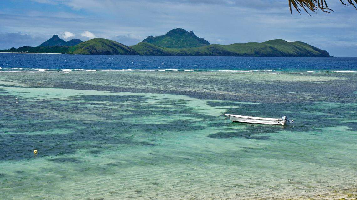 The small, “yellowish” fish was found off the coast of Fiji and the Wallis and Futuna Islands, according to a new study.