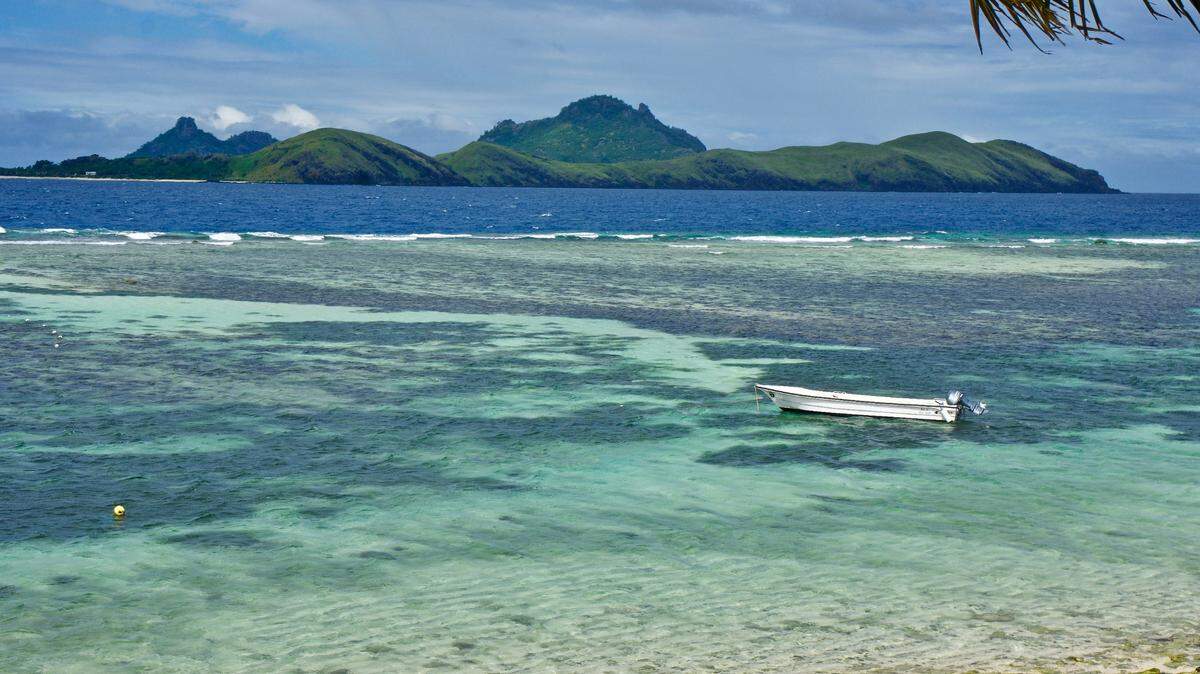 The small, “yellowish” fish was found off the coast of Fiji and the Wallis and Futuna Islands, according to a new study.